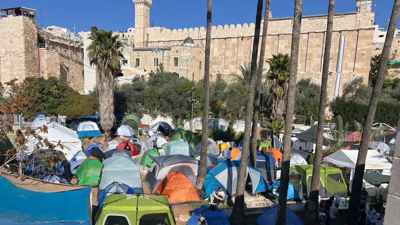 שרשים איתנים מול הסערה