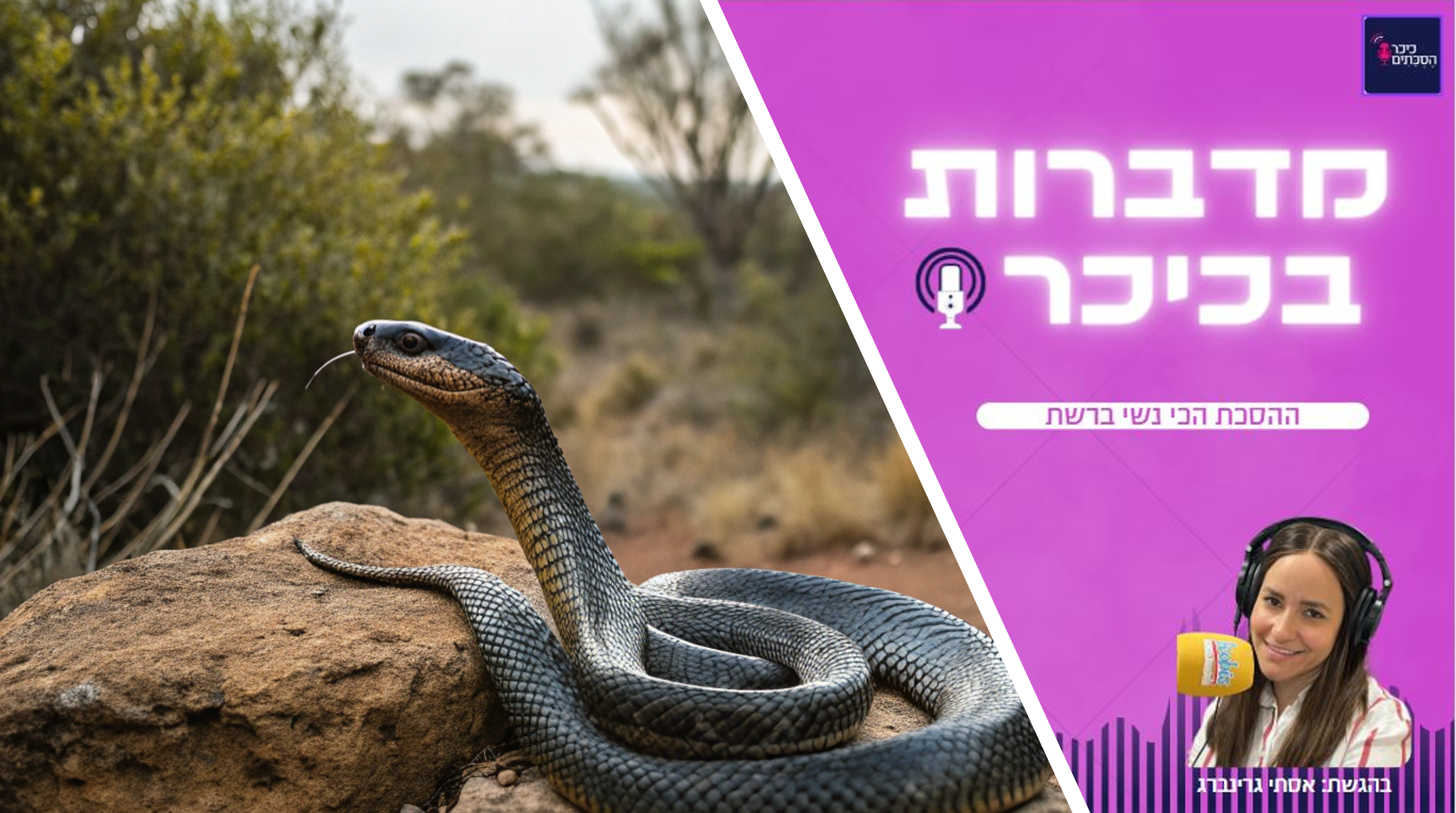 פרק 88: “החבר הכי טוב של הבת שלי – הוא נחש” • האזינו