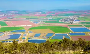 כך שדה תעופה בעמק יזרעאל יפגע בביטחון המזון של ישראל