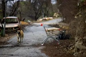 איראן: הפסקת האש עשויה להוביל לרגיעה גם בין איראן לישראל