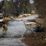 חיזבאללה בוחן את הגבול: צה”ל עצר ארבעה חשודים שהתקרבו לכוחות צה”ל בדרום לבנון