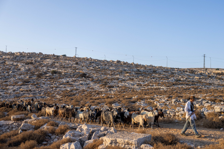 דיווח: טראמפ מחזיר את הריבונות הישראלית באיו”ש לסדר היום הפוליטי