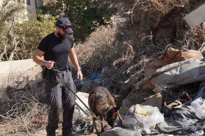 לילה מדמם: שני גברים נרצחו באירועי ירי; מספר חשודים נעצרו