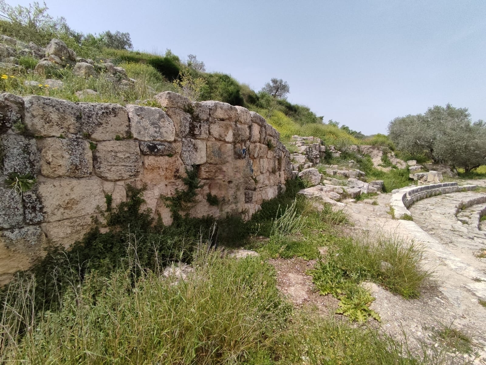 לכבוד שבת פרשת חיי שרה; מזג אוויר נאה וחם מהרגיל לעונה 