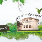 למרות שאתה לא מבין, הפרשה מלמדת אותנו שיעור חשוב: לך לך