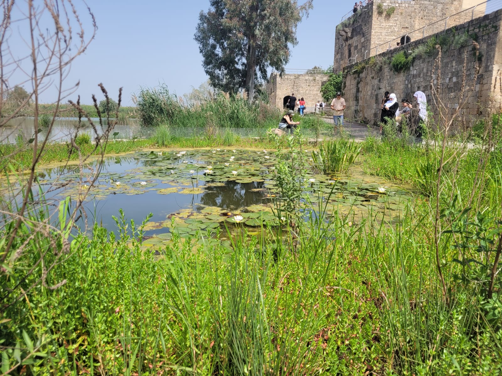 5 אתרי טבע נפתחים בצפון: מתי תוכלו לבקר בבניאס?