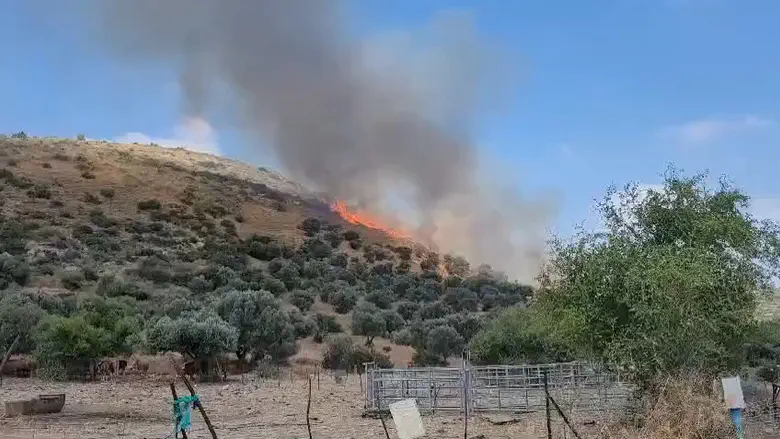 “השנה המאתגרת ביותר בתולדות רשות הטבע והגנים”