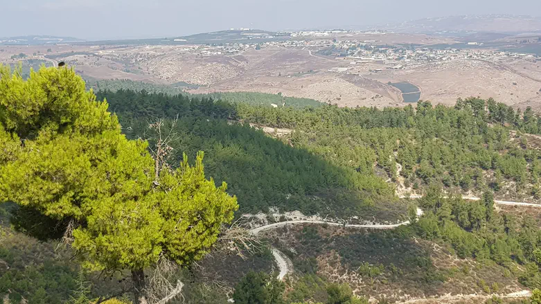 הישג להתיישבות בגליל: ישוב יהודי חדש יוקם אחרי 30 שנה