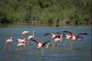 התחזית: בהיר עד מעונן חלקית, בצפון – גשמים מקומיים