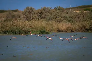 התחזית: מעונן חלקית, ירידה קלה בטמפרטורות