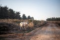 תחזית מזג האוויר ליום שישי: עלייה בטמפרטורות וירידה בלחות