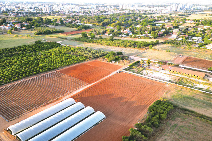 לאחר הערכת נזק של כמיליארד וחצי ש”ח: רובוטיקה ובינה מלאכותית ישקמו את החקלאות בצפון