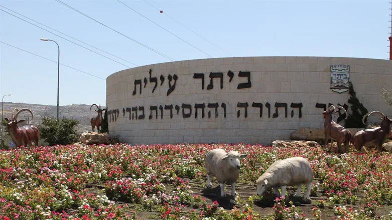 "נאלצים לצאת מ'הכולל' כדי לשלם שכירות"