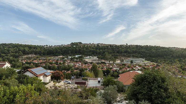 ורדים וקוצים