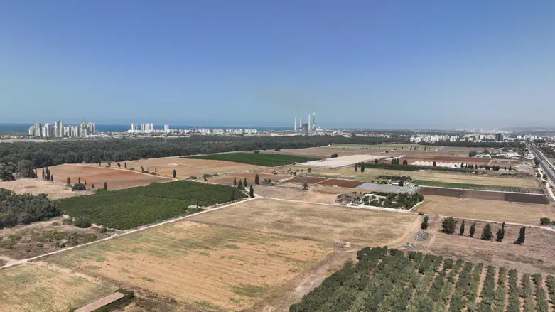 הזדמנות נדל”ן שלא תחזור בחדרה