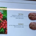 ערביקה , רובוסטה ומה שביניהם – לא רק קפה