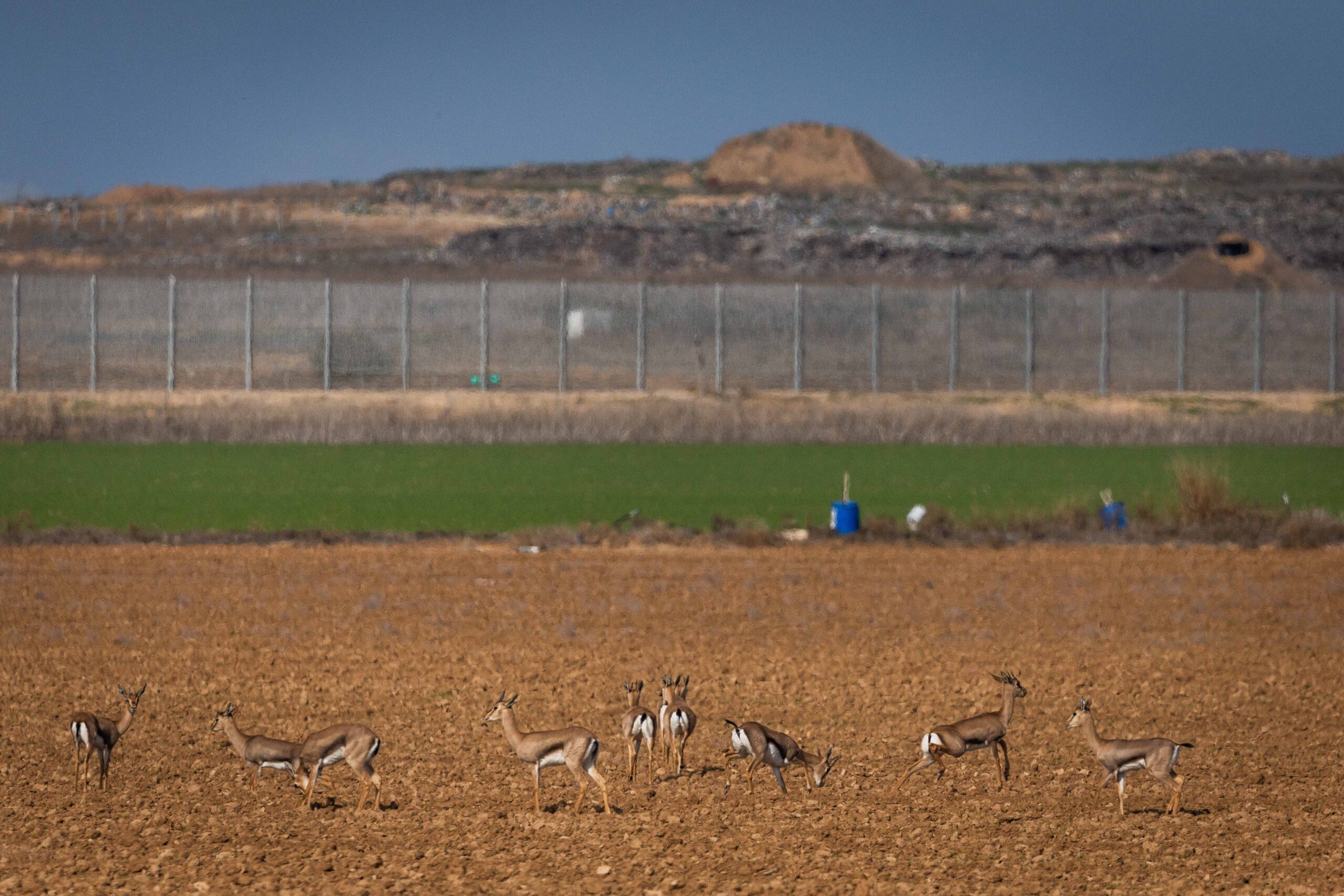 התחזית: טמפרטורות גבוהות מהרגיל | מחר: גשמים מלווים בסופות רעמים 