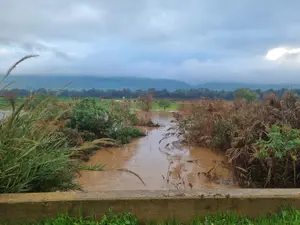 נתונים מדאיגים במיוחד: החורף הנוכחי הוא אחד השחונים ביותר בשנים האחרונות