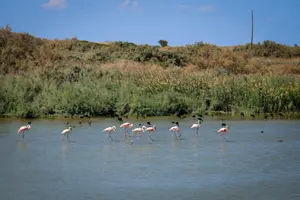 התחזית: מעונן חלקית, תחול ירידה קלה בטמפרטורות