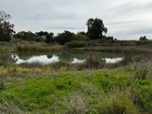 התחזית: התקררות וגשמים ברחבי הארץ, חשש לשיטפונות בים המלח