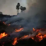 קליפורניה בוערת: 30,000 תושבי לוס אנג’לס נדרשו להתפנות בעקבות שריפה