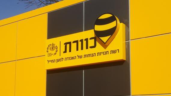 חיסול רווחי השקמיות הסתבך, המנכ"ל והסמנכ"לים התפטרו