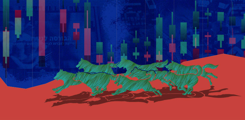 השקעה במניות שאכזבו: “כלבי הדאו” נכשלו ב-2024, אלה של ת”א זינקו