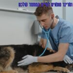 איך לבחור וטרינר מתאים לחיית המחמד שלכם?