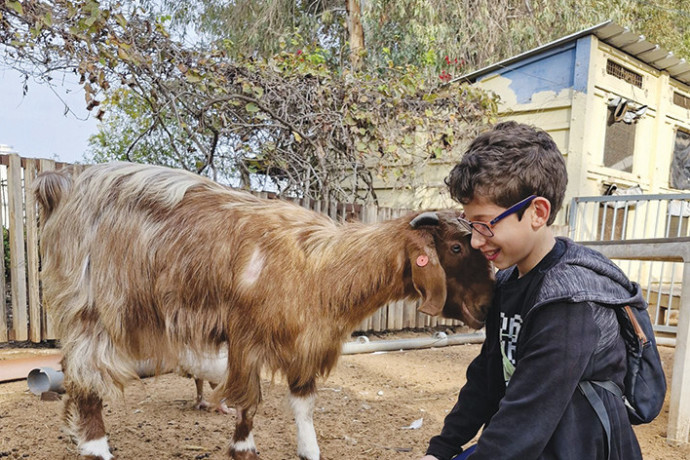 חיבור מיוחד: חוסן נפשי באמצעות בעלי חיים