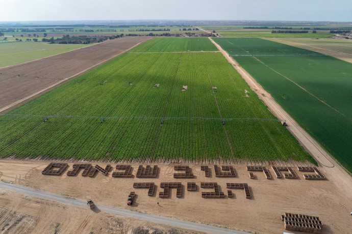 מחורבה לתקומה: המחווה המרגשת של החקלאים בעוטף לחטופים