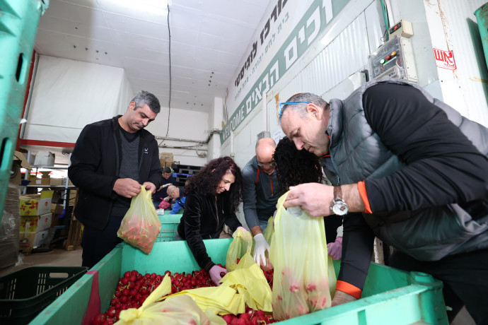 שליש מהציבור מעוניין לסייע למשפחות הנזקקות באזור מגוריו בעיקר באיסוף מזון