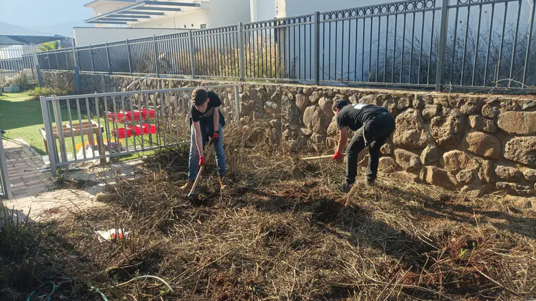 תלמידי ישיבת קריית שמונה משקמים את הצפון