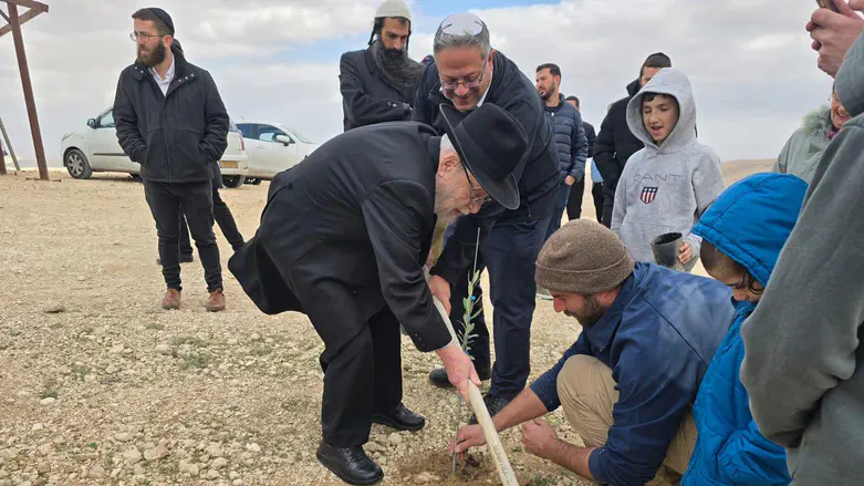 הרב ליאור וחברי 'עוצמה יהודית' נטעו עץ בחוות צאן קידר