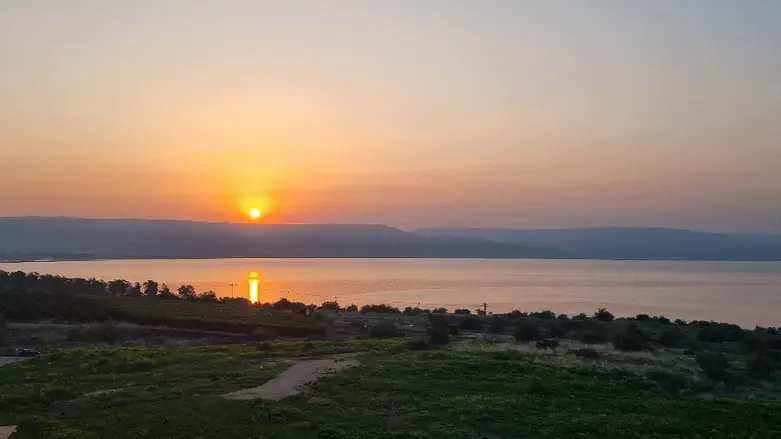 טיול בגליל: נבל דוד לצד פריחה בכינרת