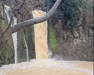 הגולן קיבל שלג ראשון, הבניאס זורם בעוצמה. צפו בסרטונים מהבוקר