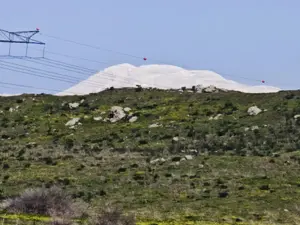 אכזבת העונה: "קורל" לא עמדה בציפיות – אבל כן שברה שיאי קור