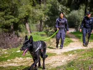 593 תיקי נעדרים פתוחים, כ-10% קטינים: דו"ח הנעדרים נחשף