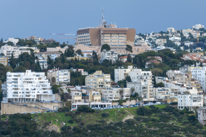 אימה בחיפה: בני זוג שדדו אישה לאור יום ותקפו אזרחים שסייעו לה | פרסום ראשון