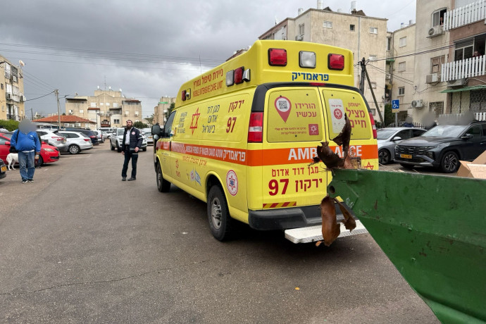 לאור יום באמצע הרחוב: אדם נדקר למוות בקטטה בנתניה