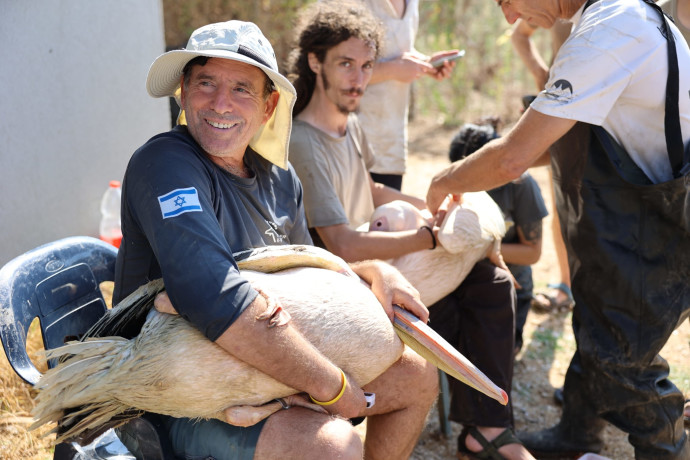 טוב לכל הצדדים: פרויקט ראשון של מישדור שקנאים למניעת התנגשות במטוסים 