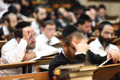 סנהדרין דף ס"ח
| כלב
המלקק מן הים או מכחול בשפופרת?