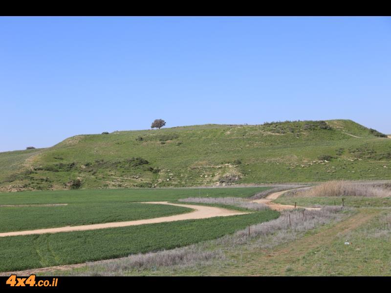 מסלול טיול בשמורת פורה – מנחל שקמה לגבעת הכלניות