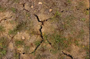 החורף השחון בהיסטוריה: חלקים גדולים בישראל נמצאים במצב של "בצורת קיצונית"