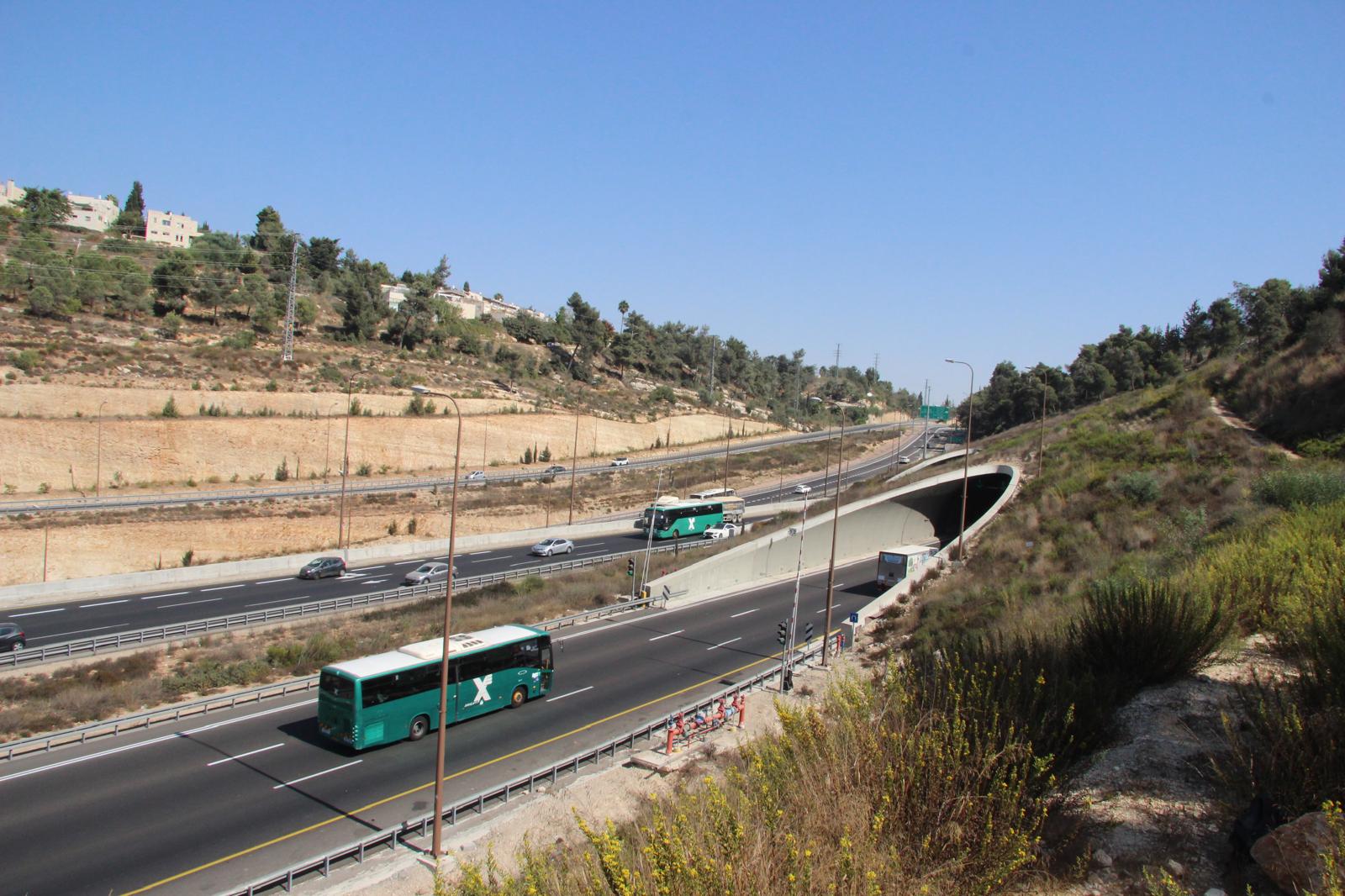 קבוצת אגד: אלה השינויים והשיפורים בתחבורה הציבורית לימי הפורים